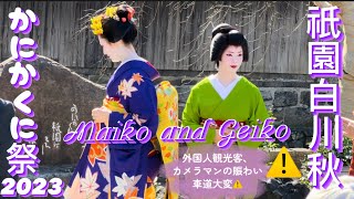 【かにかくに祭2023•祇園白川•京都】舞妓•芸妓さんが菊の花を献花します|外国人観光客賑わい‼️車道大変⚠️|Maiko and Geiko Offering Flower in Festival