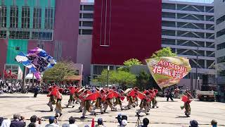 AOMORI花嵐桜組「羽州街道・千物語“碇ヶ関御関所」～2019AOMORI春フェス 駅前(スマホver.)