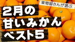 【果物屋さんが選んだ】2月に最も甘くなる”みかん”ランキングベスト5