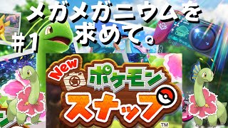 【#Newポケモンスナップ】メガメガニウムを求めて。Part1【# ポケスナ】