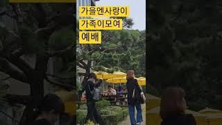 과천소망교회에서 예배하고국수점심 #박종호 #봉숭아학당 #문화혁신학교 #안숙희 tv