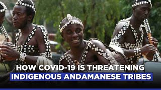 How COVID-19 Is Threatening Indigenous Andamanese Tribes