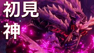 【初見】神モンス・怨嗟響めくマガイマガドが楽しすぎてしまう チャージアックス 【MHR:S実況/モンハンサンブレイク】