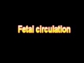 What Is The Definition Of Fetal circulation - Medical Dictionary Free Online