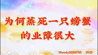 卢台长开示：为何蒸死一只螃蟹的业障很大Wenda20200703   19:33