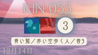 【極性KINの日】【マヤ暦 KIN55】今日の銀河のエネルギーについて｜キーワードと過ごし方（2023年12月14日）