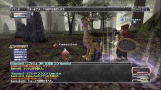 タルが行く FFXI：51 Bastet(NM)