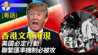 【有冇搞錯粵語版】(字幕）齊聲表態，人人過關，香港正在經歷文革時刻。美國的反擊將會很嚴厲，其中聯繫匯率制度必定受到猛擊。| #香港大紀元新唐人聯合新聞頻道