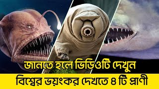 বিশ্বের ৪টি সবচেয়ে ভয়ংকর চেহারার প্রাণী! | Shocking Animal Facts | Fact by Ismail