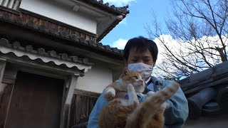 天空の城・備中松山城で毎年恒例のすす払い　猫城主も「さんじゅーろー」様子見守る　岡山・高梁市