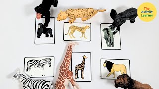 Object To Picture Activity | Learn Matching | Educational Videos for Toddlers