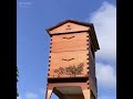 Advanced beekeeping technique