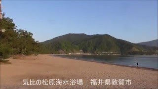 海釣りスポット　気比の松原海水浴場（けひのまつばら）　福井県敦賀市　2016年5月　キス釣り　日本海　若狭湾