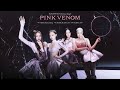 BLACKPINK - Pink Venom DANCE BREAK VER