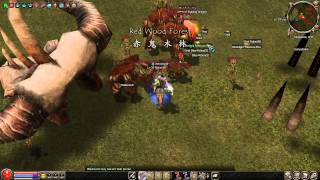 Metin2.SG MakavelY lvl 35 vs Metin of Fighting Dragon (lvl 85)