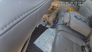 Two Dogs Locked in Car in 100 Degree Heat Saved by Cop