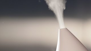 Bacteria-breeding Humidifiers | Consumer Reports