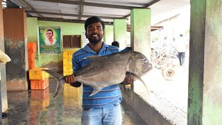 பெரிய மீன் ஏலம் மற்றும் அதன் விலை | Big size fish auction and price | MUTHUNAGAR MEENAVAN