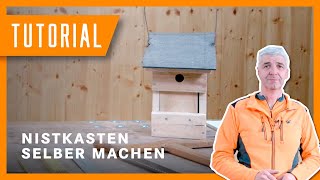 Wolfi zeigt: Vogelhaus selber bauen I Nistkasten DIY der Bayerischen Staatsforsten