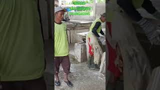 PROSES PEMOTONGAN BATU MARMER TULUNGAGUNG