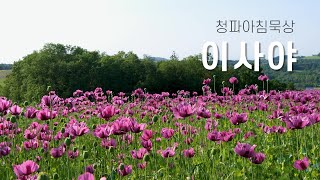 240729(월) 이사야 15장