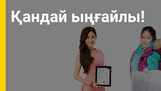 Гульнара Сильбаева: Ал сіз қалай төлейсіз?