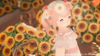 【FF14】クリコンランクマ！【ダイヤ帯】