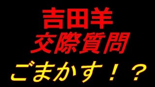 【ごまかした？】吉田羊 交際質問をBGMで遮断