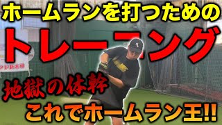 【地獄の体幹】必ずホームランが打てる極限トレーニングとは！？力の伝え方を知れば飛距離は伸びる！