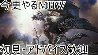 【MHW】今更始めるモンハンワールド。アドバイス歓迎！