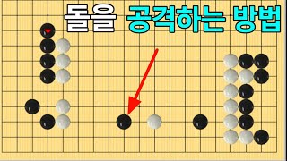 [초반50수] 사냥을 하는 방향 (기원4급 vs 5급 바둑)