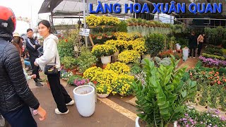 Chợ Tết Xuân Quan Văn Giang Hưng Yên - Làng Bán Hoa Cây Cảnh Rẻ Nhất Miền Bắc