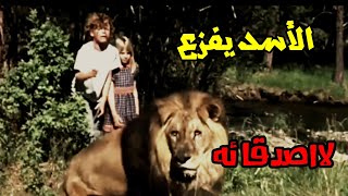 شيلات افلام||الدب يهجم 🐻عليهم في الغابه 🌲 وصلت الفزعه 🦁من الأسد🔥