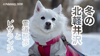 【コマの北軽井沢散歩】犬連れに優しい北軽井沢で雪道散歩と薪ストーブのあるお部屋でピザランチ