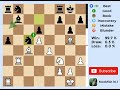 genius stockfish 16.1 chess game pterodactyl defense miscellany queen pterodactyl