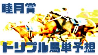 睦月賞2023予想【2023年1月27日大井競馬トリプル馬単予想】