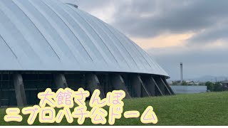 大館さんぽ③【ニプロハチ公ドーム】