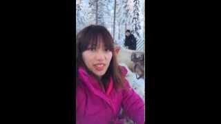 Reindeer ride in Santa Clause Village 芬蘭聖誕老人村馴鹿雪橇