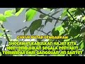 ayat-ayat doa ruqyah penyembuh penyakit dan pengusir gangguan jin, In sha Allah89