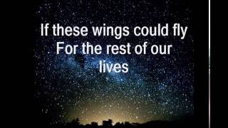 Birdy - Wings (Acoustic) Lyrics