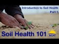 Soil Health 101: Principles for Livestock Production