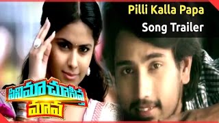 Cinema Chupistha Mava Songs | Pilli Kalla Papa Song Trailer | Raj Tarun | Avika Gor | Rao Ramesh