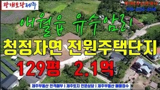 357. [제주도토지] 유수암리 개척단지 서쪽  고급전원주택 펜션단지ㅣ숲으로 둘러싸인 쾌적한 주변 환경ㅣ석축공사 및 대지조성공사가 완료된ㅣ광개토왕공인중개사 010-6232-6260