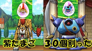 ドラクエウォーク　紫たまご　３０個割ってみた（最後の紫たまごキラマ優９→１０）