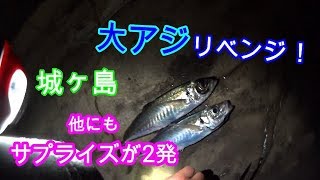 城ケ島 大アジ釣りでリベンジ