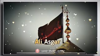 😔 Jhula jhulaye Kise ab Jhula Jhulaye || 🙌🏻 Ali Asgar Imam Hussain stetus🌹 Karbala status ||