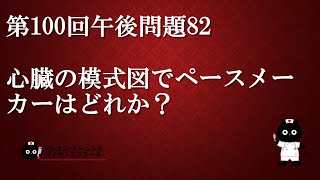 【看護師国家試験対策】第100回 午後問題82 過去問解説講座【クレヨン・ナーシングライセンススクール】