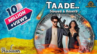 Taade (Slowed+Reverb) | Ruslaan | Aayush Sharma | Sushrii Mishraa | New Hindi Song 2024