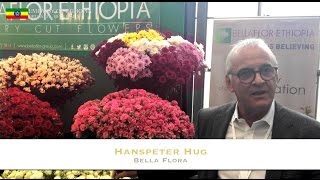 Floriculture investors determined to expand their business in Ethiopia