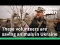 Meet the volunteers saving Ukraine’s animals from the horrors of war